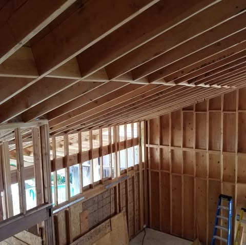 Exposed timber framing and ceiling joists on a Shellmolly Construction project